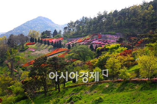 영광군, 꽃동산으로 탈바꿈