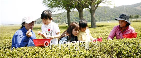 차나무에 참새가 살아요?