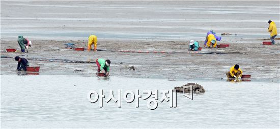 [포토]바지락도 줍고, 더위도 식히고 