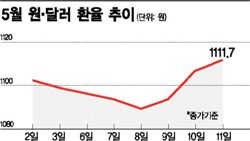 투자은행 엔·달러 전망 살펴보니… "엔저공습 이제 시작"