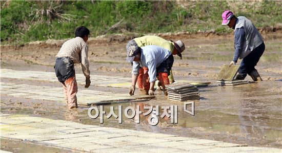 [포토]분주한 농촌들녘