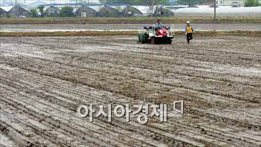 [포토]시작되는 벼농사