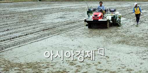 [포토]벼농사 시작
