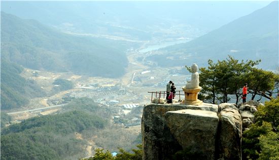 깊은 산속, 연등꽃이 피었습니다