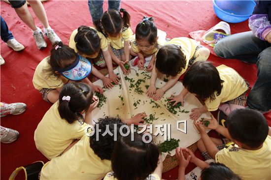보성군, 보성녹차대축제 행사 이모저모