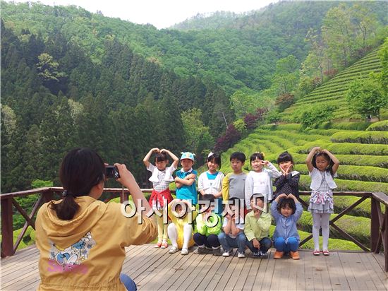 보성군, 보성녹차대축제 행사 이모저모