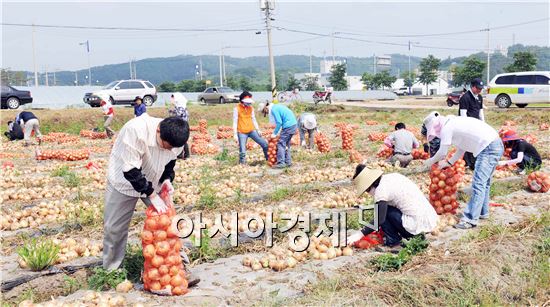 장성군, 영농철 농촌일손돕기 ‘팔 걷어’