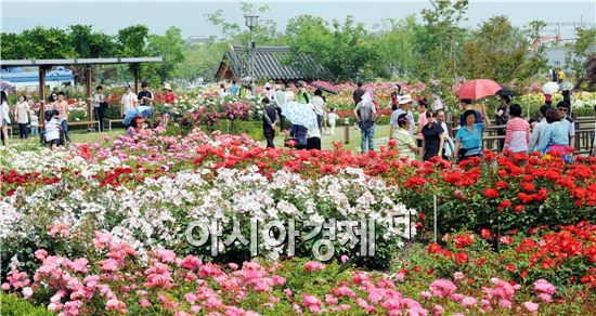 [남도 힐링 여행] 곡성 기차마을 '추억여행 4선'