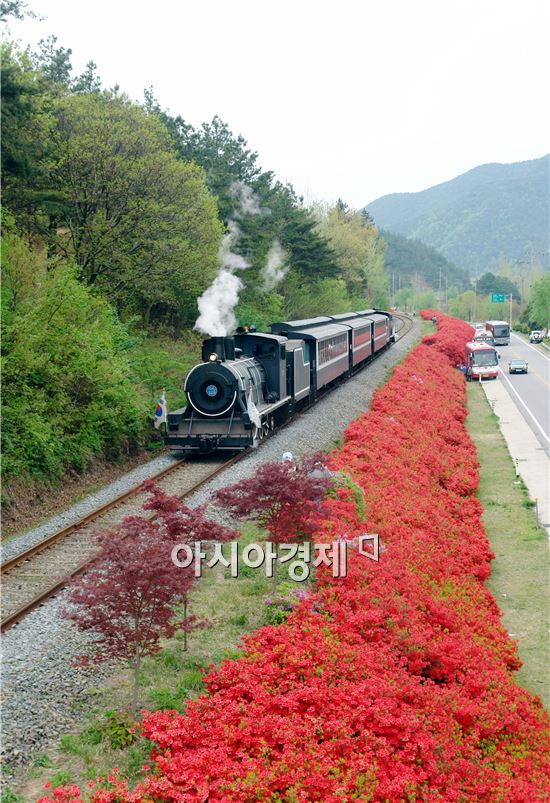 [남도 힐링 여행] 곡성 기차마을 '추억여행 4선'