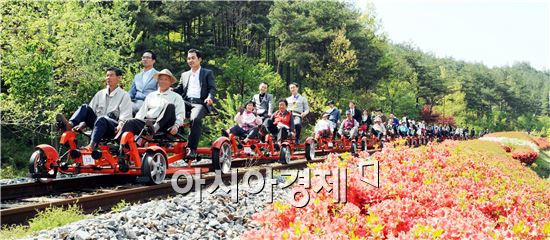 [남도 힐링 여행] 곡성 기차마을 '추억여행 4선'