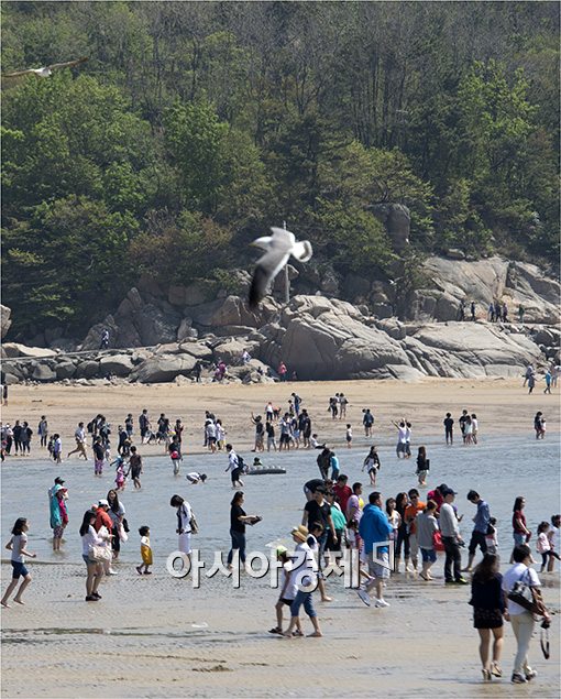 [포토]북적이는 해수욕장
