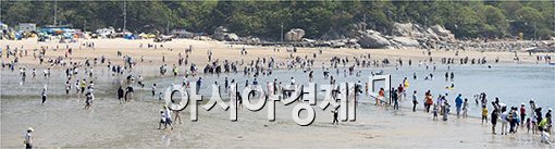 [포토]일찍 찾아온 무더위에.. 북적이는 해수욕장