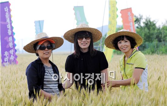 가족과 함께 황금 밀밭에  ‘풍덩’ 빠져볼까
