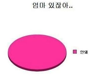 엄마의 통일된 답변(출처 : 온라인 커뮤니티)