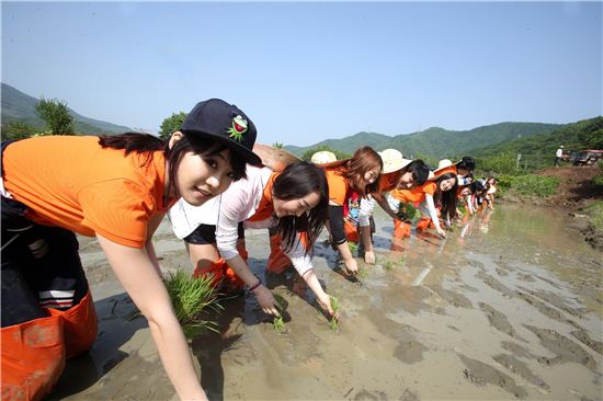 대우건설, 창립 40주년 기념 ‘대우건설米’ 모내기 행사 개최 