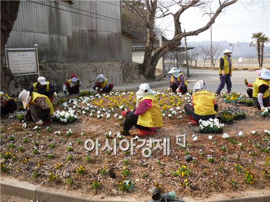 
실직자 및 저소득층을 위한 공공근로. 지역공동체 사업이 본격 시행되고 있는 가운데 지난 10일 상반기 공공근로사업 참여자 20여명이 모여 군동면 석교공원 주변에서 꽃을 심고 있다.
