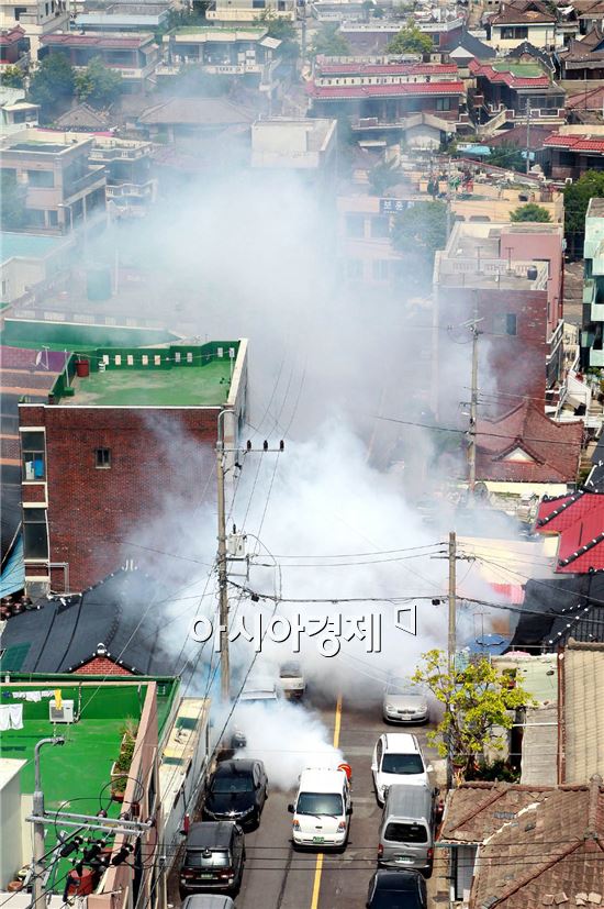 [포토]살인 진드기 꼼짝마 