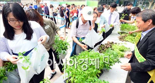 [포토]채소모종 키워볼까?