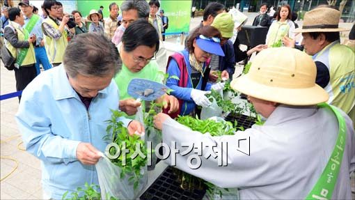 [포토]'채소 모종 직접 키워 드세요~'