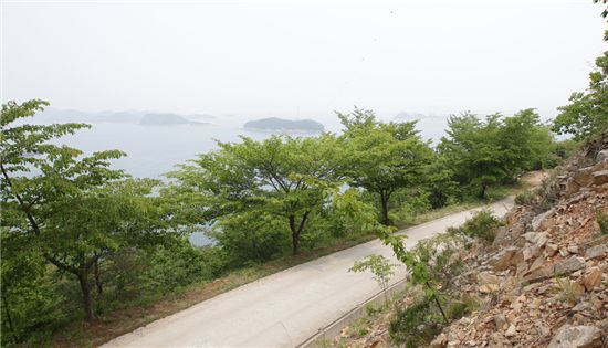 주말이면 서산 삼길포에 1만여명이 ‘북적’