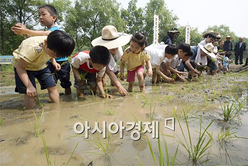 [포토]양재천 전통 모심기