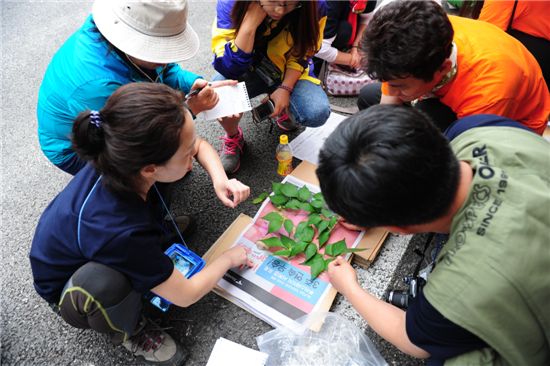 식물표본을 만들고 있는 ‘BioBlitz Korea’ 참가자들.