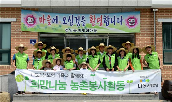 [포토]LIG손보, 농촌 자원봉사활동