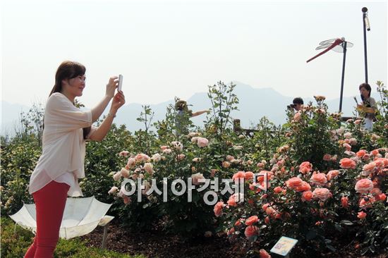 [포토]장미향기도 담아볼까?