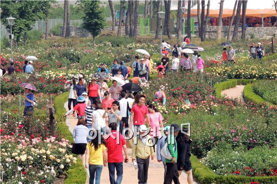 곡성군, 천만송이 세계장미축제 개막, 수많은 관광객 몰려 
