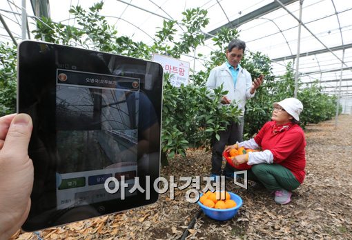 [포토]농업 활성화를 위한 SK텔레콤 프로젝트 '스마트팜'