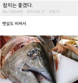 참치가 부러운 이유