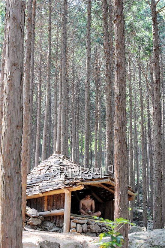 [남도힐링여행]최고의 ‘힐링 명소’  장흥 '편백숲 우드랜드'