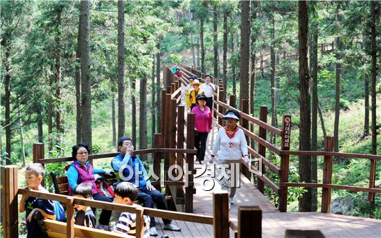 정남진 장흥 편백숲 우드랜드를 찾은 관광객들이 말레길을 걸으면서  최고의 휴양을 즐기고 있다.