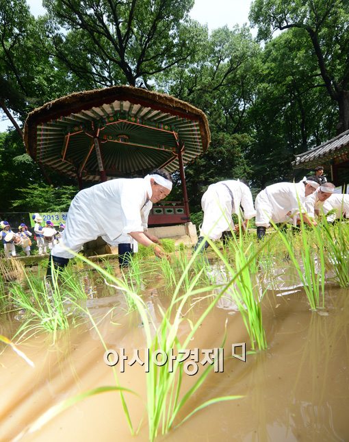 [포토]한해 농사 풍년 기원 