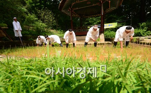 [포토]한 해 농사를 점쳐봅니다 