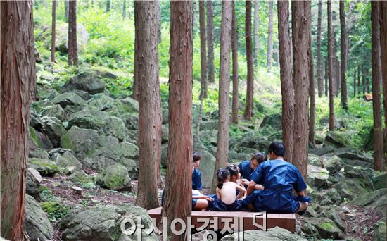 장흥군 편백숲 우드랜드 '비비에코토피아(풍욕장)' 개장