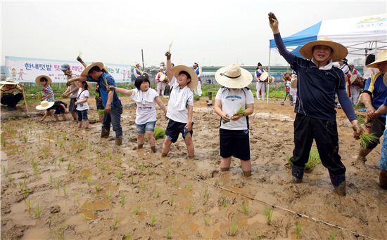 [포토]금천한내텃밭 '텃논두레단' 모내기 하는 날