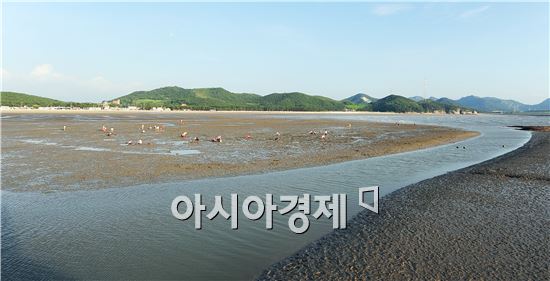 국토교통부, 고창 서해안  ‘갯벌 생태지구’ 조성