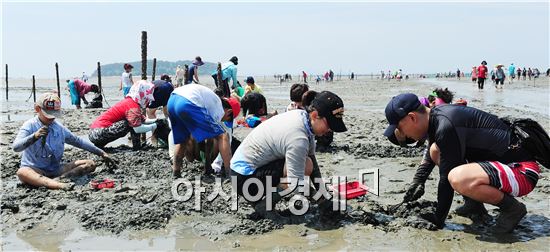 국토교통부, 고창 서해안  ‘갯벌 생태지구’ 조성