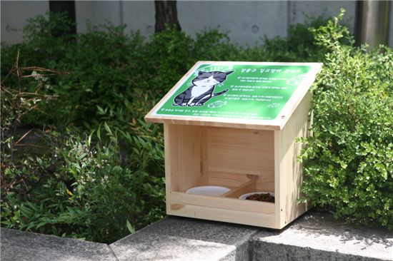 강풀이 제안한 '길고양이 급식소', 가보셨나요?