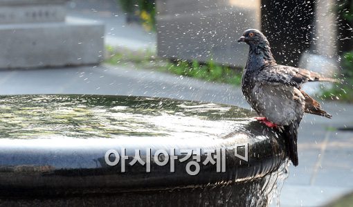 [포토]'덥냐? 나도 덥다'