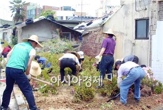 [포토]광주시 동구, 쓰레기 쌓이던 공한지에 철쭉꽃밭 조성 