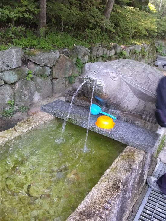 ▲갑사 거북의 시원한 물줄기. 갈증을 적시기에 안성맞춤이다.