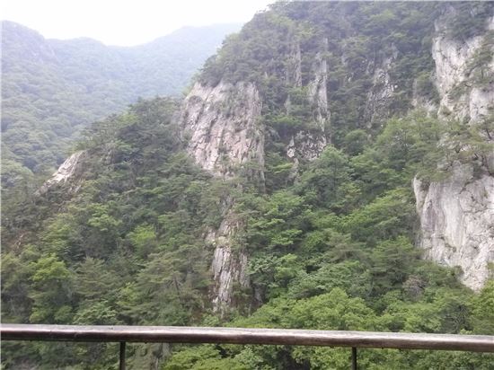 ▲은선폭폭에서 내려다 본 계룡산 전경.