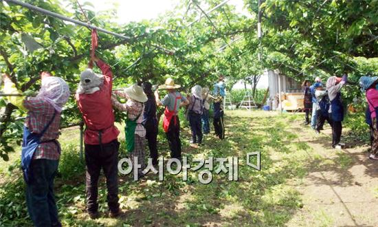 곡성군, 농촌 일손돕기 알선창구 운영