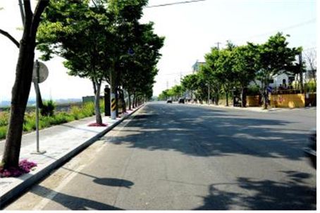 영암군, 삼호읍에 ‘녹색디자인 시범거리 조성’ 완료