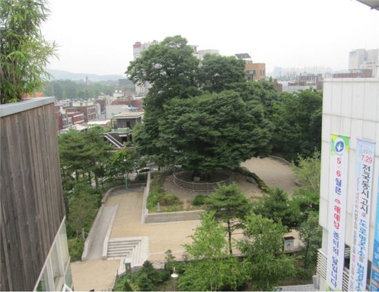 광진구 화양동 느티나무공원 