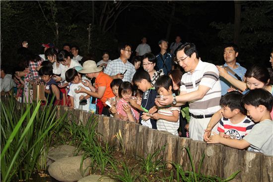 환경지표종 반딧불이 여름밤 초안산 밝힌다