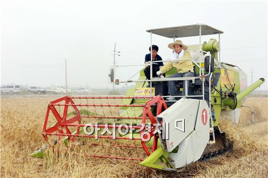 김생기 정읍 시장,  맥류전용수확기로 청보리 수확