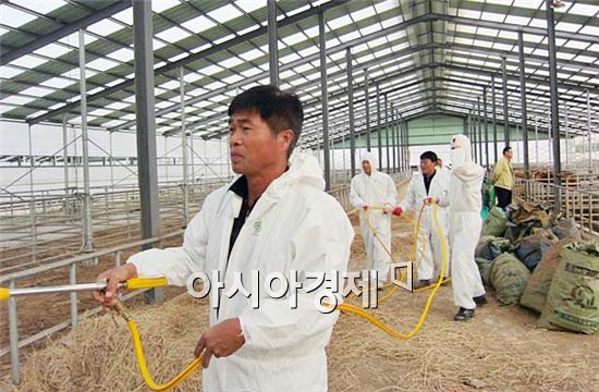 정읍시, 살인진드기 예방 위해 축산농가 살충제 지원